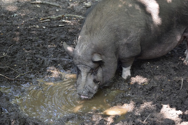 灵活地运用 灵活地运用