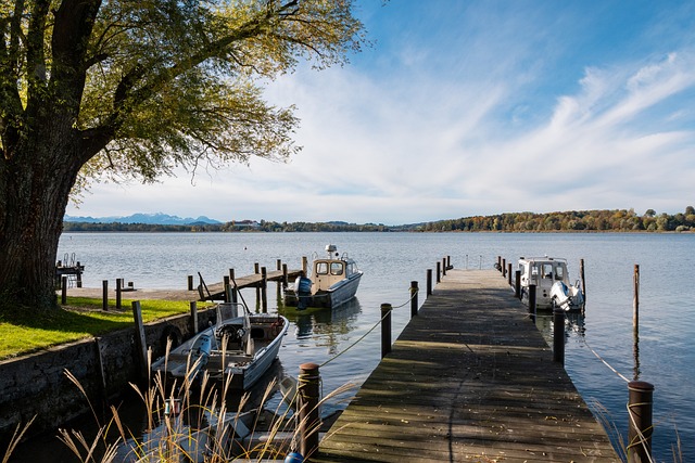 谣言和不安 谣言和不安