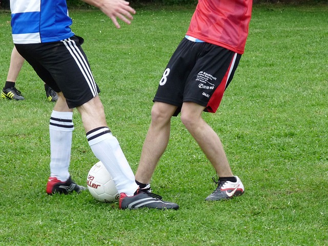 調整也起到 調整也起到