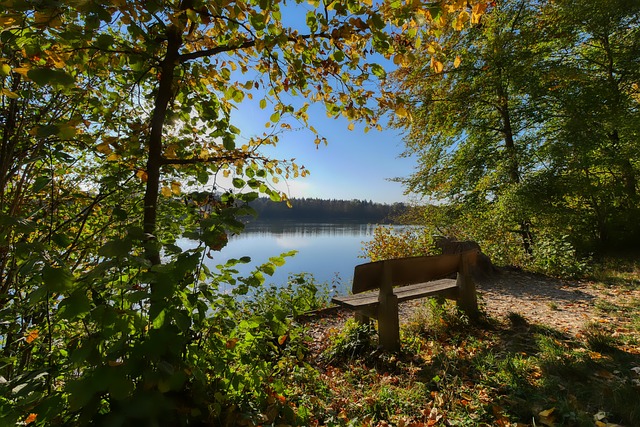 冬季奥运会 冬季奥运会