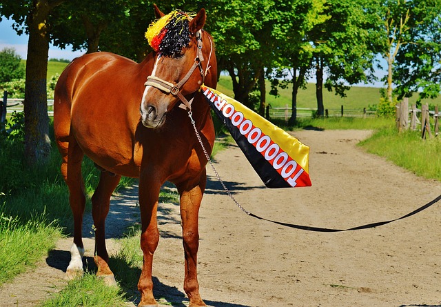 再次考验他 再次考验他