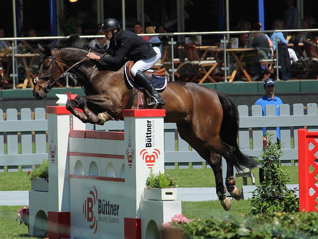 人意向起到 人意向起到