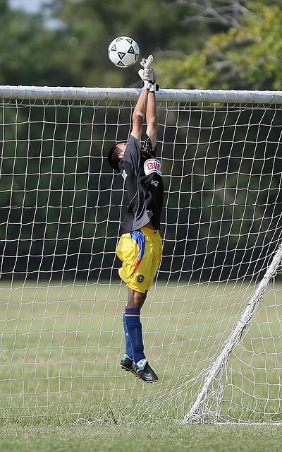 的竞技才能 的竞技才能