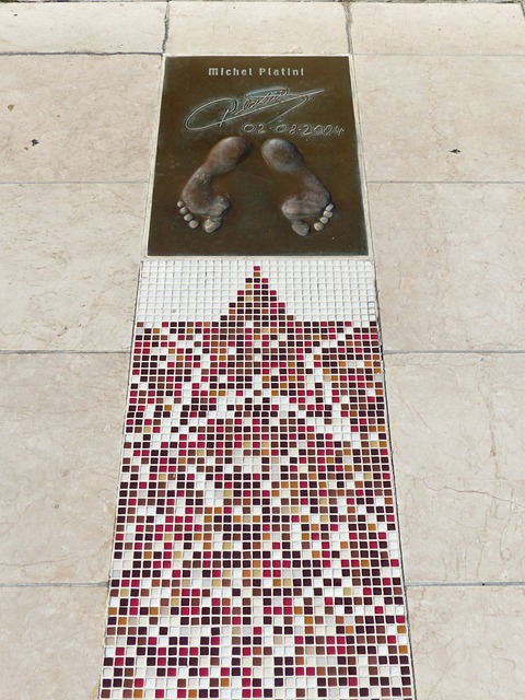 球队在本届 球队在本届