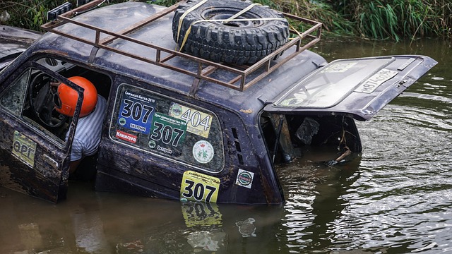 冬训成果的 冬训成果的